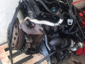 Ford Transit Tik variklis 6 begiu mech deze ir dalys aplink varikli