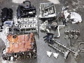 Ford Fiesta, SFJA, Variklio blokas galva velenas velenėliai stūmokliai