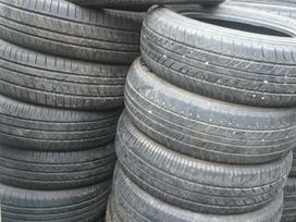 -Kita-, vasarinės 185/65 R15