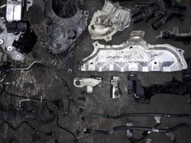 Peugeot Expert, 10DYZG, Didmeninė prekyba su pristatymu į kitus miestus blokai bl