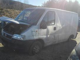 Fiat Ducato, passenger vans