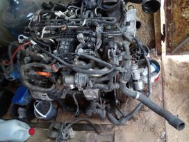 Volkswagen Touran, Cay dfg CJC DFH DPC DFF cbb CFH nfQ 03l102c, 1 6 2 0tdi svp txu tdj lqt 03l103373a 03l1028060310 03l103286a