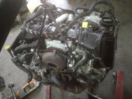 Mercedes-Benz E klasė, 642858 642873 642826 642861 642852 a6420902242, 642 858 722966 a6420901037 a6420900270