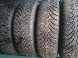 Sava, winter 185/65 R15