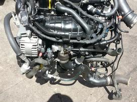 Ford Focus, JTJB, Ford focus 1 6 ecoboost rida 35 000 myliu kodas jtja jtjb