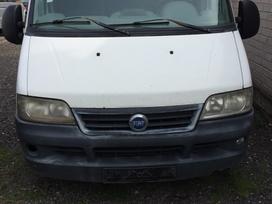 Fiat Ducato dalimis