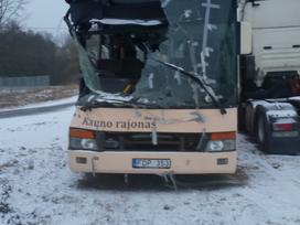 Setra S313 ul, buses