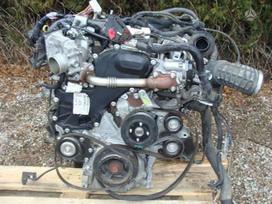 Nissan Navara, YD25, Nissan navara pilnas variklis purkstukai turbina ir kt varikl