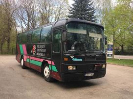 Mercedes-Benz O303, buses