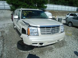 Cadillac Escalade Visas automobilis dalimis 4wd 6 0 l vortex turime daugiau sio