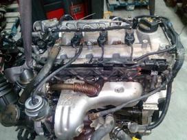 Kia Rio по частям. Kia variklis 4 cilindru 1 5 crdi