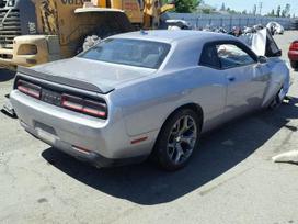Dodge Challenger по частям. Dalys dodge challenger 6 4 5 7 3 6 2013 2019 n