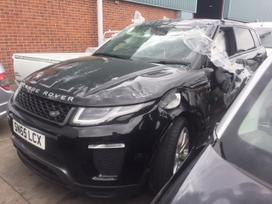Land Rover Evoque Dalimis is anglijos