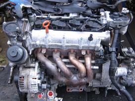 Volkswagen Golf 1 6b variklio kodas blf tel 863044544 variklis starteris g