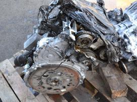 Mini Cooper, B38a12a, variklio detalės