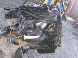 Ford Mondeo Tel 863044544 variklis starteris generatorius vairo stiprintu