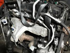 Ford Transit. Yra daugiau ardomu auto ir varikliu galimas
