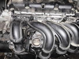 Ford Focus, SHDA SIGMA, engine parts