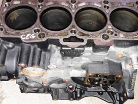 Volkswagen Passat, CEG, variklio detalės