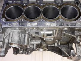 Ford Fiesta, JTJA JTJB, variklio detalės