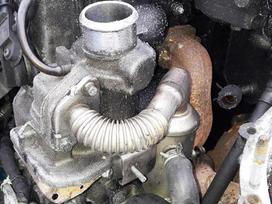 Ford Mondeo, QYWA, variklio detalės