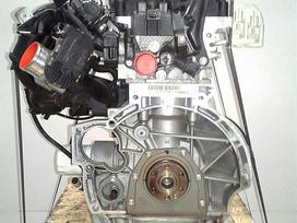 Ford Focus, IQDB, engine parts