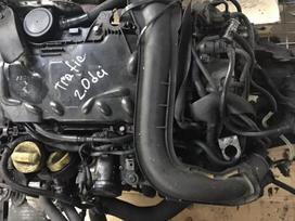 Renault Trafic, M9R786, rezerves daļās. Tik variklis mechanine greiciu deze ir dalys apl