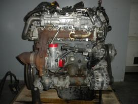 Iveco 35S17, грузовые микроавтобусы