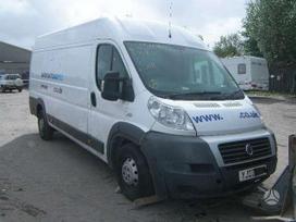 Fiat Ducato 3.0 2.2 2.3 JTD, autobusi