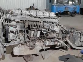 Scania 440 , 470 , 480 , 420 , 380, semi-trailer trucks