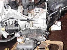 Ford Focus, SFJA, variklio detalės