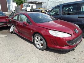 Peugeot 407 Viskas matosi foto