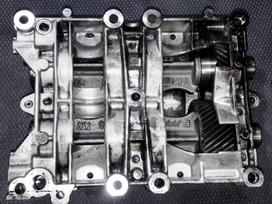 Land Rover Freelander, 224DT, variklio detalės