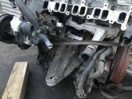 Ford Transit, CYF5/DRFF, Tik variklis deze ir dalys aplink varikli ir turim varikli dali