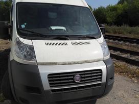 Fiat Ducato, cargo vans