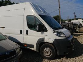 Fiat Ducato, cargo vans