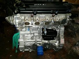 Honda Jazz Pagaminimo data 2010 03 rida km 881 km variklis 1198 cm3