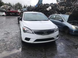 Kia Ceed dalimis