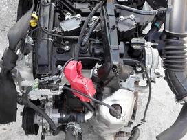 Ford Fiesta, XYJB, for parts. Ford fiesta mk8 1 1 12v 63kw xyja xyjb xyjc viber wha