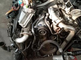 Audi A8, 0445115086 0445115041 0986435375