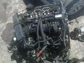 BMW 320 Variklis ardomas dalimis sankabos komplektas
