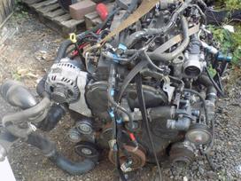 Ford Ranger Tik variklis ardomas dalimis ir dalys aplink varikli