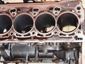 Volkswagen Golf variklio detalės