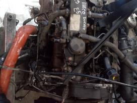 Iveco Dailly, preču