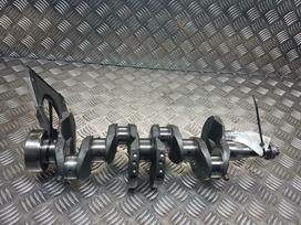 Ford Kuga, M8MA, engine