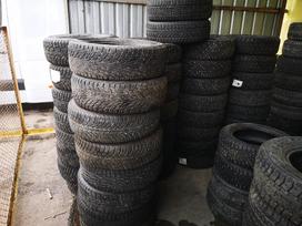 Continental, winter 195/65 R15