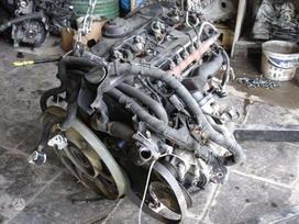 Ford Transit, cits