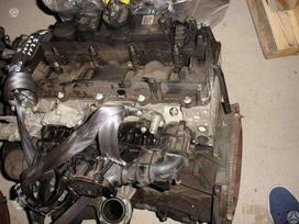 Mercedes-Benz Sprinter, other