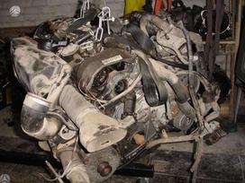 Mercedes-Benz Sprinter, other