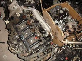 Nissan Interstar, other